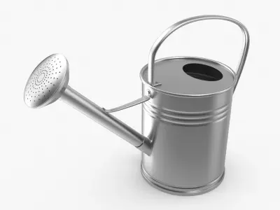 Watering Can 3D model get