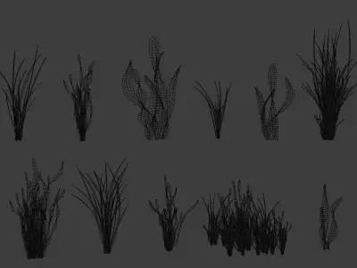 Underwater Grass Pack 3D model