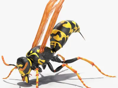 Paper Wasp Rigged for Maya 3D model