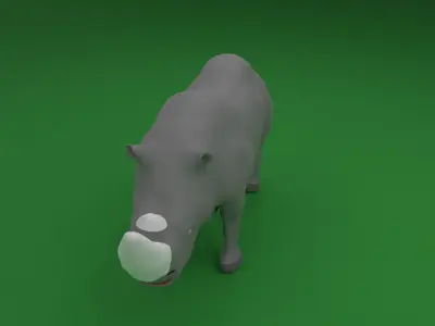 Rhino Low-poly 3D model