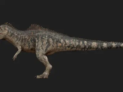dinosaur Low-poly 3D model 7