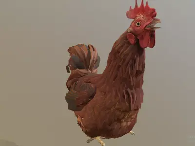 Howling Rooster CHICKEN SITTING idle 3D model