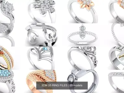 3DM 55 RING FILES 3D Model Pack