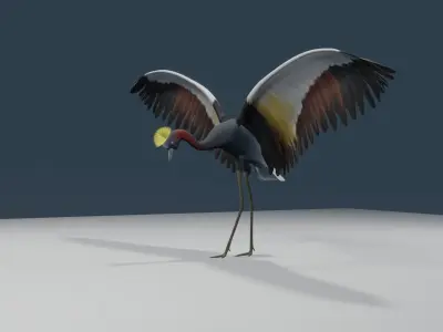Crowned cranes 3d model 3D model