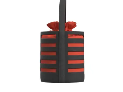 Black Leather Cutout detail Mini Bag 3D model