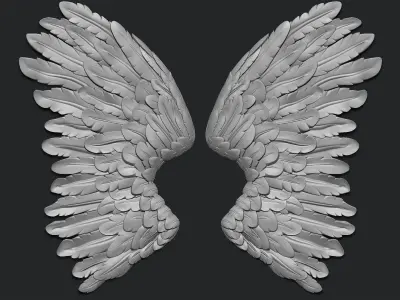 Wing -art 3D print model