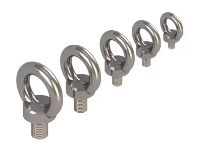 Ring Nuts DIN580 3D model