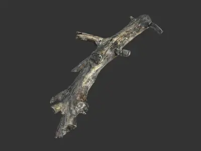 Realistic tree trunks with branches Low-poly 3D model