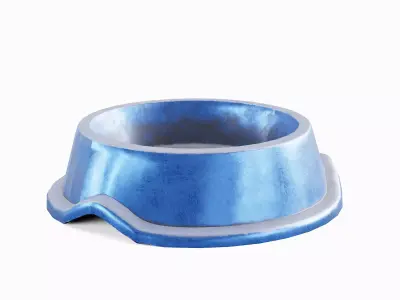 Metal Dog Bowl 04 Low-poly 3D model