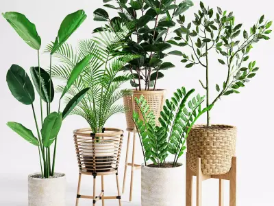Indoor Plant Set 07 3D model