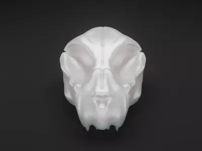 Animal skull - Panther 3D model