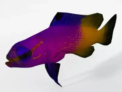 Gramma loreto Low-poly 3D model