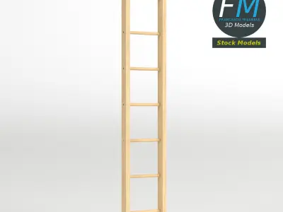 Single straight wood ladder 3D model