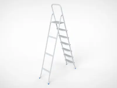 Paraboni Ladder 3D model