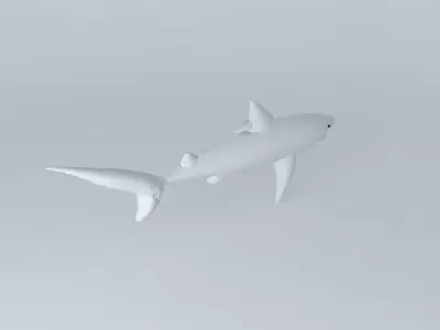 Shark shark Free 3D model