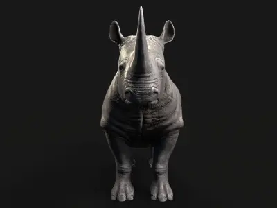 Rhino rhinoceros Low-poly 3D model