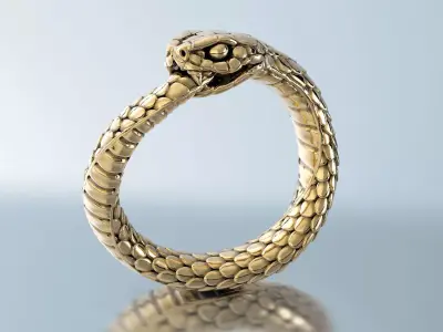 Ring Snake Ouroboros 3D print model