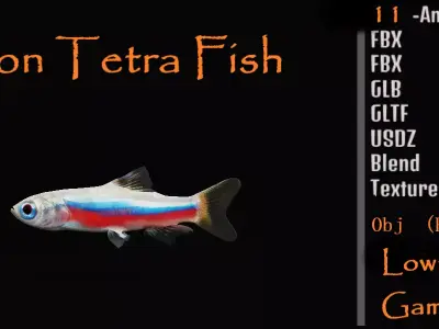 Neon Tetra Fish Low-poly 3D model