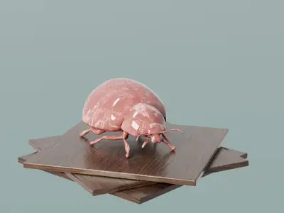 Ladybug Statue for House Decoration Low-poly 3D model