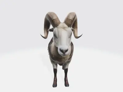Rider ram 3D model