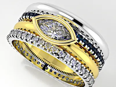 3 Rings in one  3D model