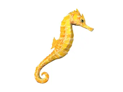 Seahorse wall art Low-poly 3D model