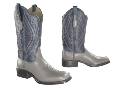 Grey Stitch Cowgirl Boots 3D model