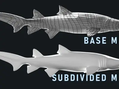 Low-Poly Shark Mesh Collection Low-poly 3D model