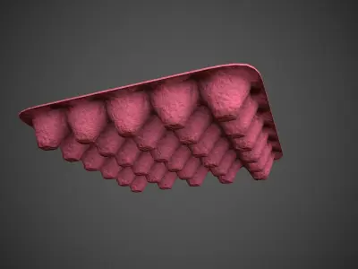 Eggs with Box 3D model