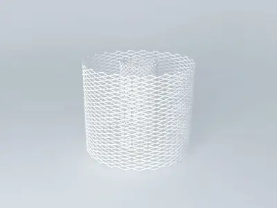 interference wire basket Free 3D model