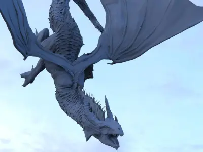 Dragon Diving 3D model