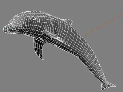 dolphin lowpoly 3D model buy