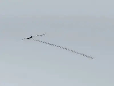 Royal Airways Flight 5321 Free 3D model