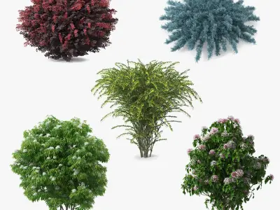  Bushes Collection 4 