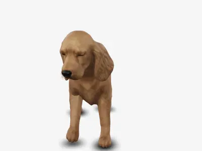 dog cocker spaniel Low-poly 3D model