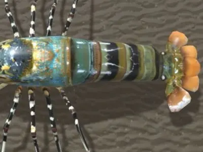 Lobster aragosta arcobaleno 3D model