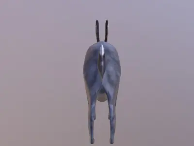 Bunny 3 Different Looks Low-poly 3D model