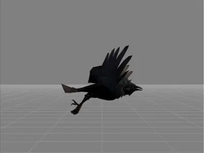 Crow v2 Low-poly 3D model