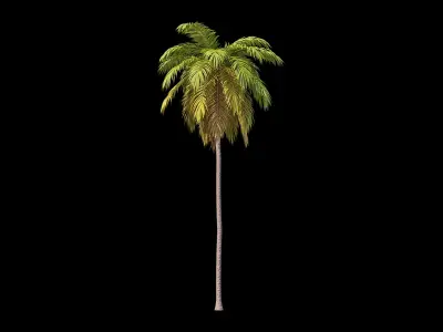 Palms Set 021-030 3D model