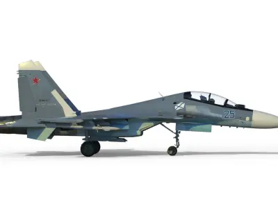 Su-30 3D model