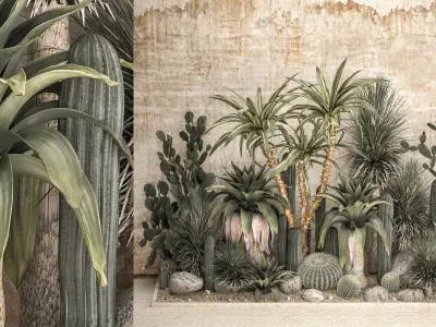  Collection of tropical desert plants 1108A 
