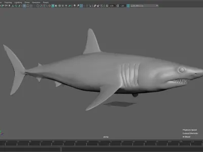 Shark  Mako model with materials 3D model