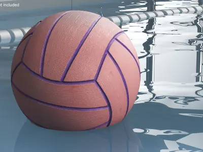 Water Polo Ball 3D model buy