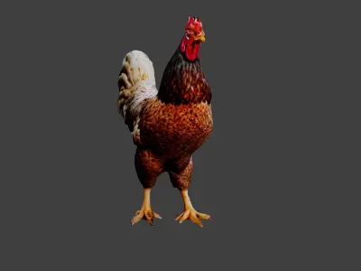 Chicken  Low-poly 3D model purchase