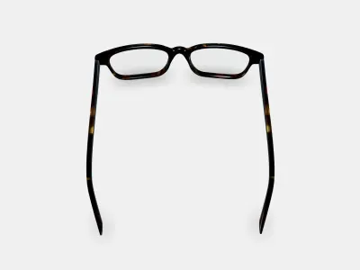 Crane Eyeglasses in Whiskey Tortoise 3D model