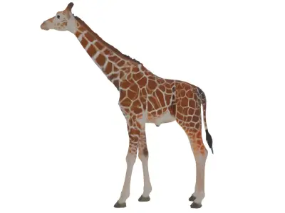 Giraffe Low-poly 3D model order