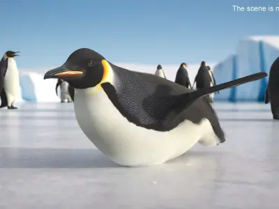  Belly Gliding Emperor Penguin Fur 