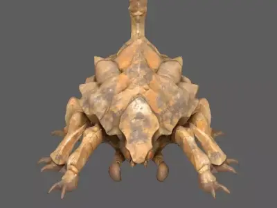 Creature 3D model order
