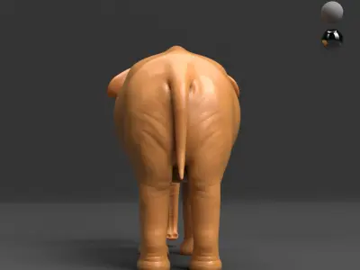 Asian Elephant - BaseMesh 3D model