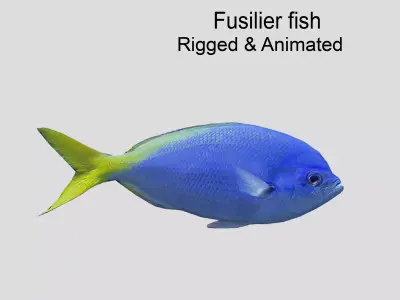 Fusilier fish Realistic Animated Low-poly 3D model